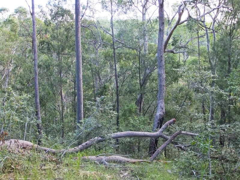 Shark Creek NSW 2463