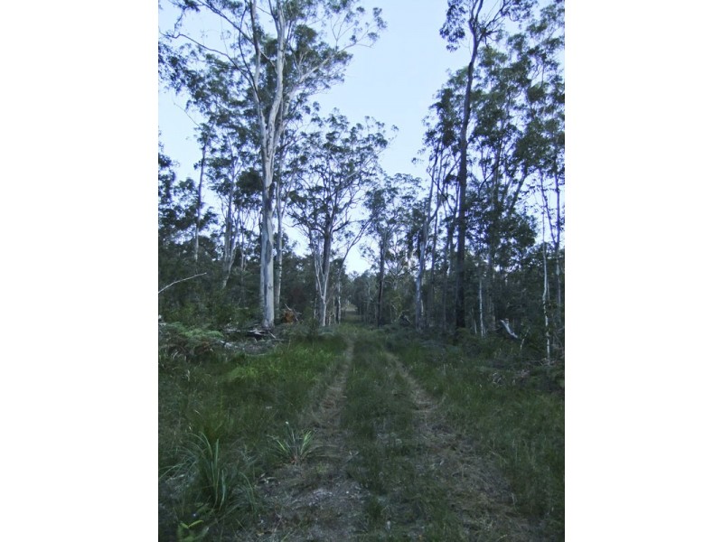 Shark Creek NSW 2463