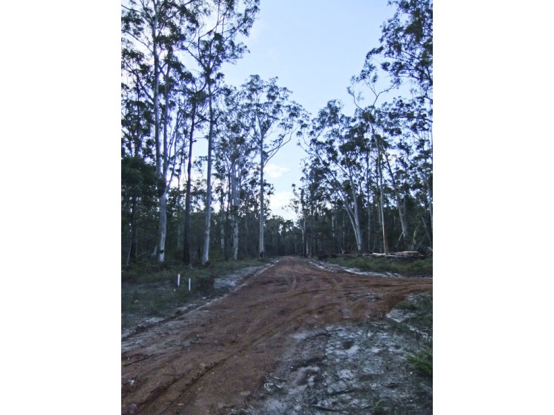 Shark Creek NSW 2463