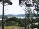 Maclean NSW 2463