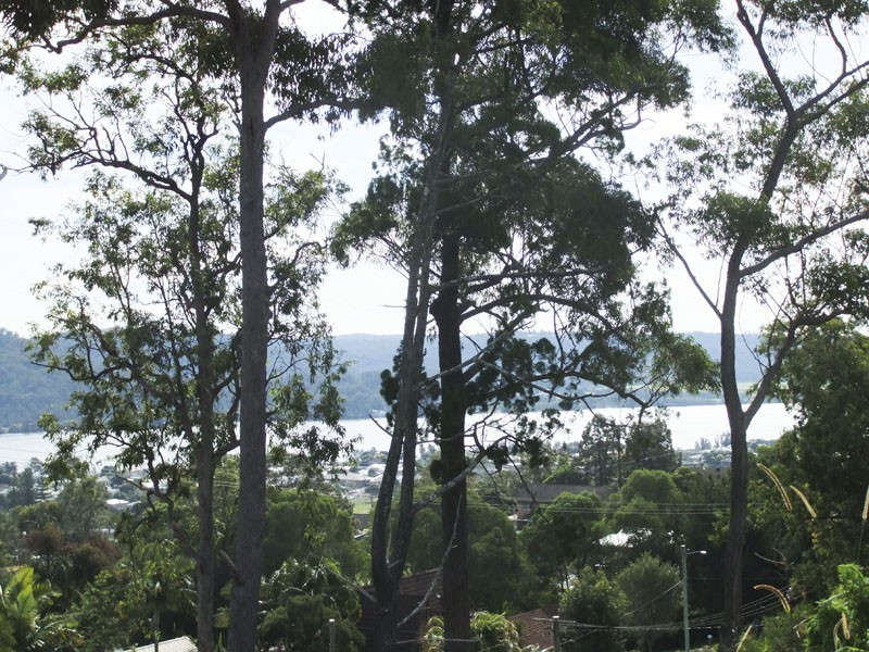 Maclean NSW 2463