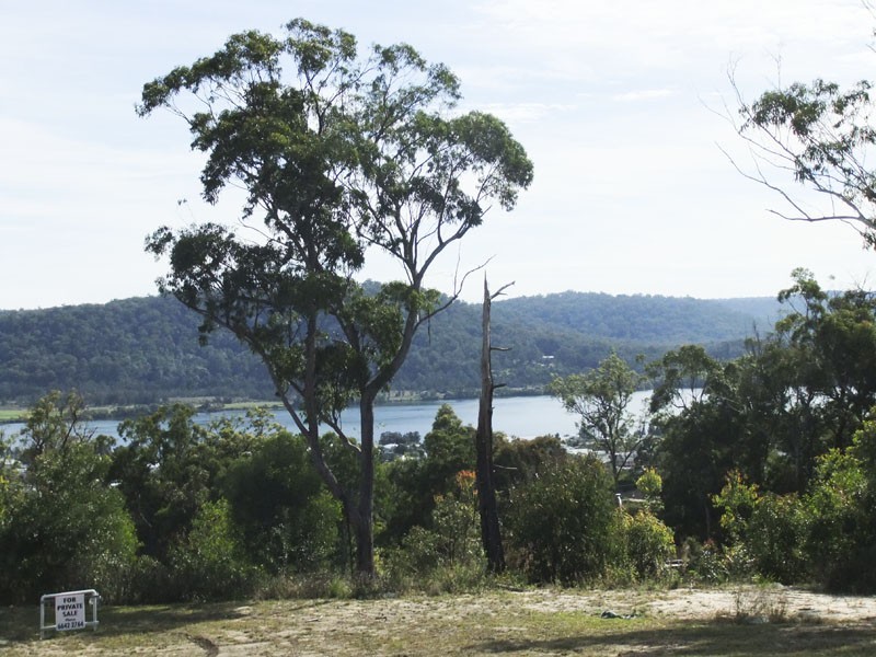 Maclean NSW 2463