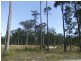 Maclean NSW 2463