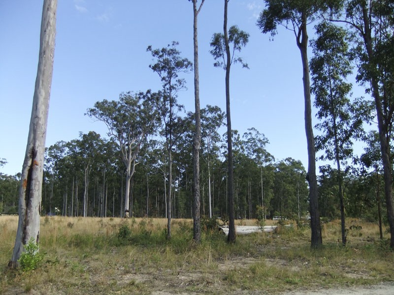 Maclean NSW 2463
