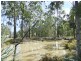Maclean NSW 2463