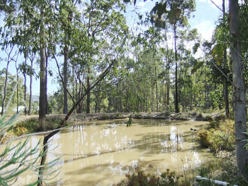 Maclean NSW 2463