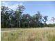 Maclean NSW 2463