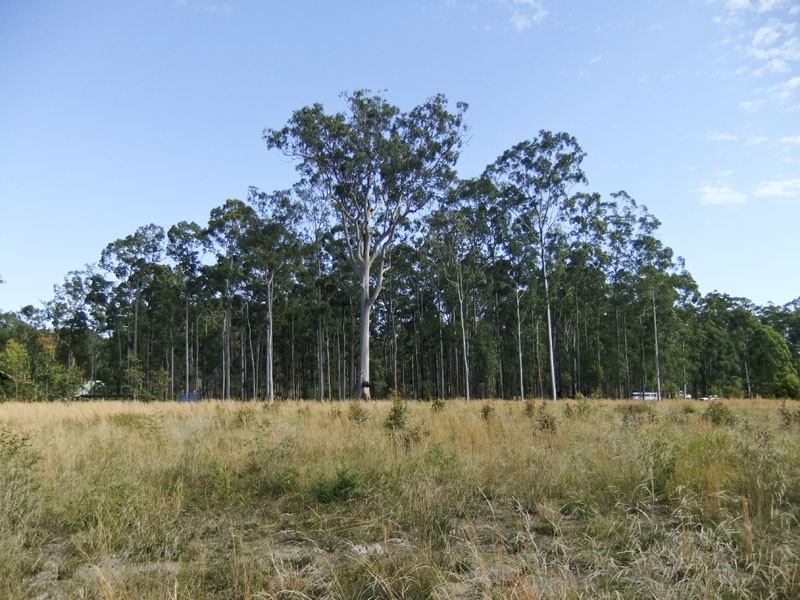 Maclean NSW 2463