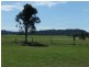 Gulmarrad NSW 2463