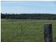 Gulmarrad NSW 2463