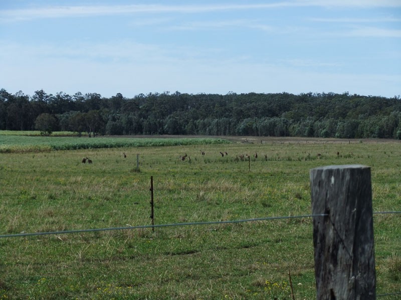 Gulmarrad NSW 2463