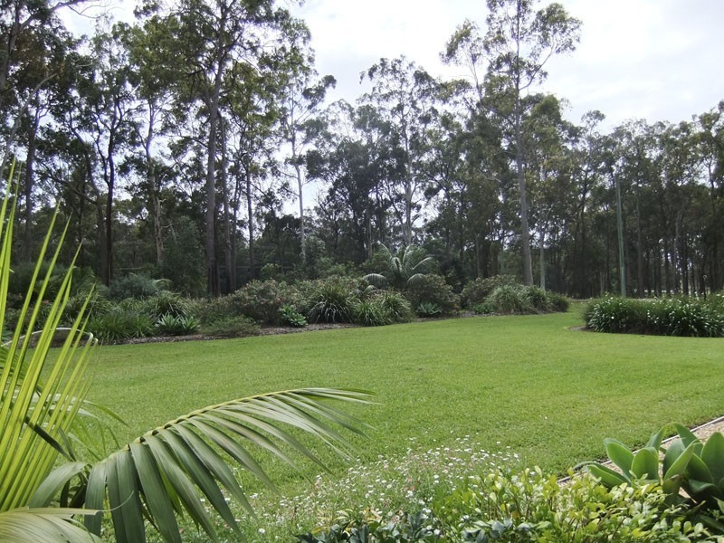 James Creek NSW 2463