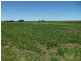 Palmers Island NSW 2463
