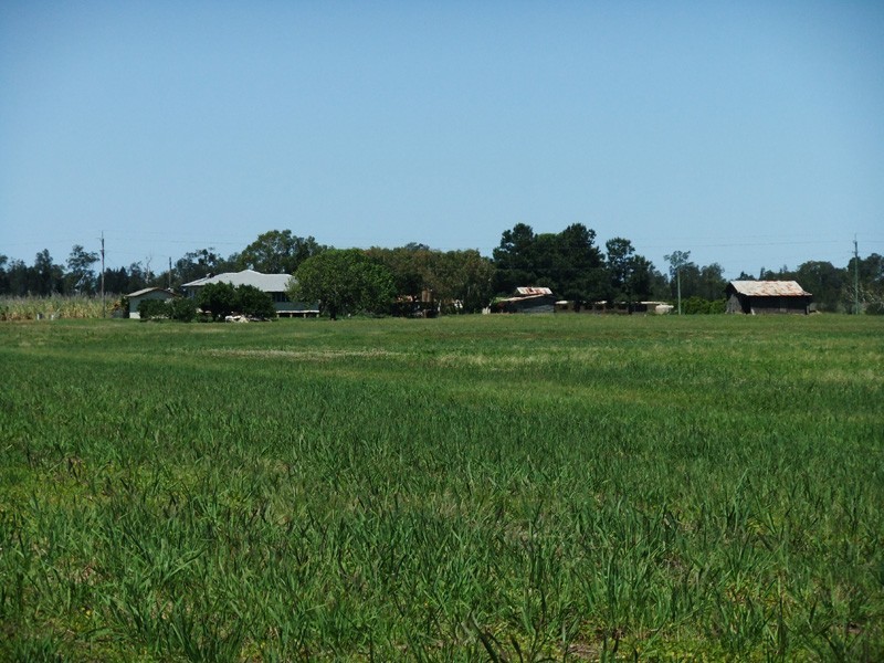 Palmers Island NSW 2463