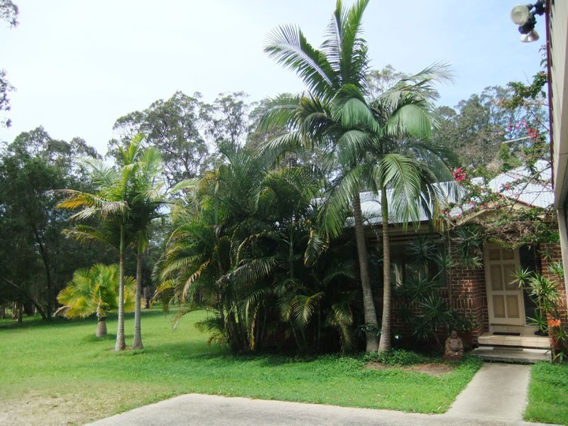 James Creek NSW 2463