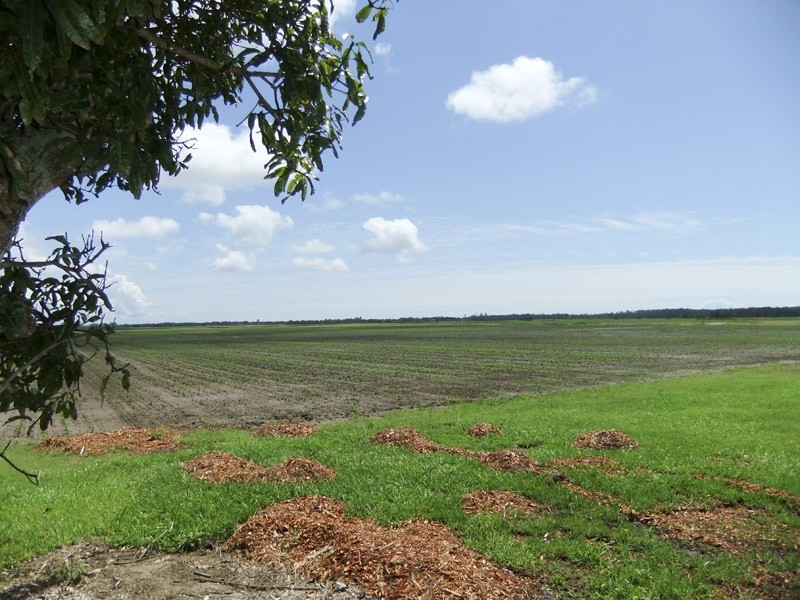 Palmers Island NSW 2463