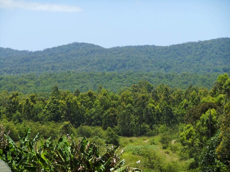 Pillar Valley NSW 2462