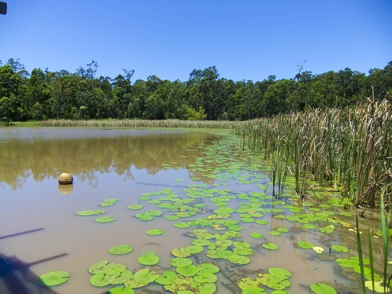 Pillar Valley NSW 2462