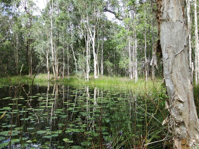 James Creek NSW 2463