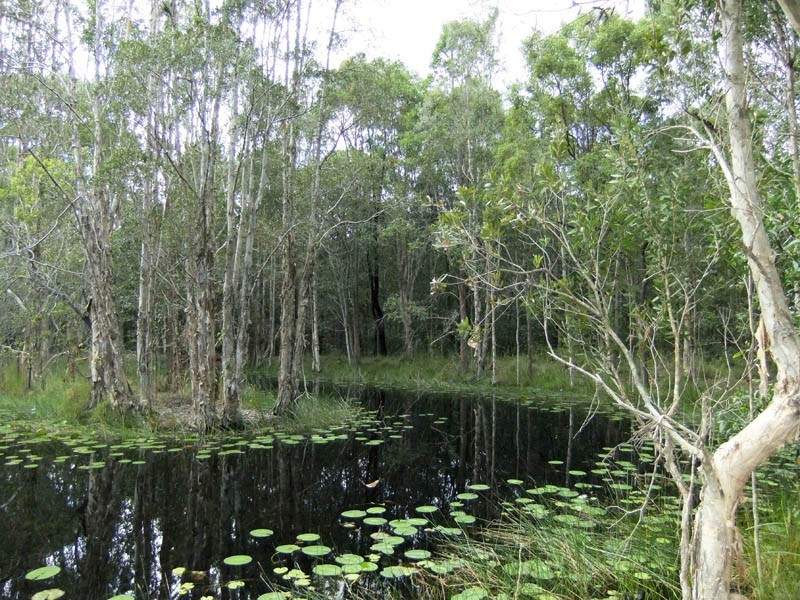 James Creek NSW 2463