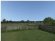 Maclean NSW 2463