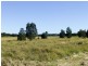 Palmers Island NSW 2463