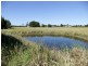 Palmers Island NSW 2463