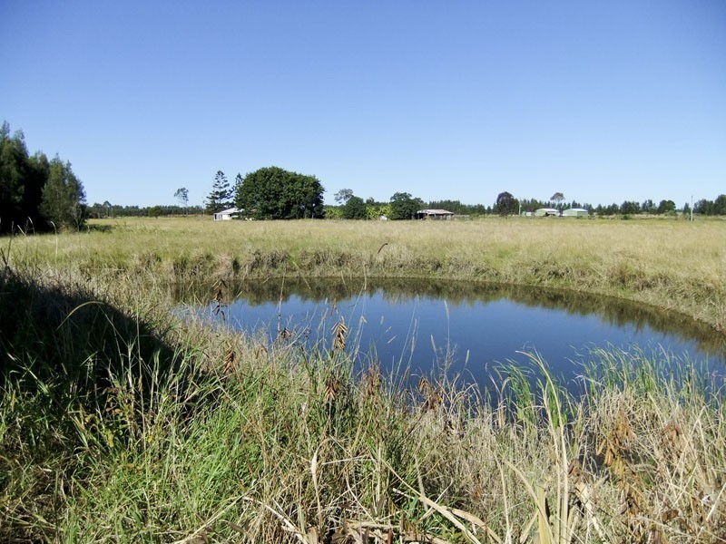 Palmers Island NSW 2463