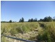 Palmers Island NSW 2463