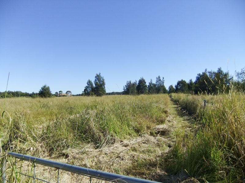 Palmers Island NSW 2463
