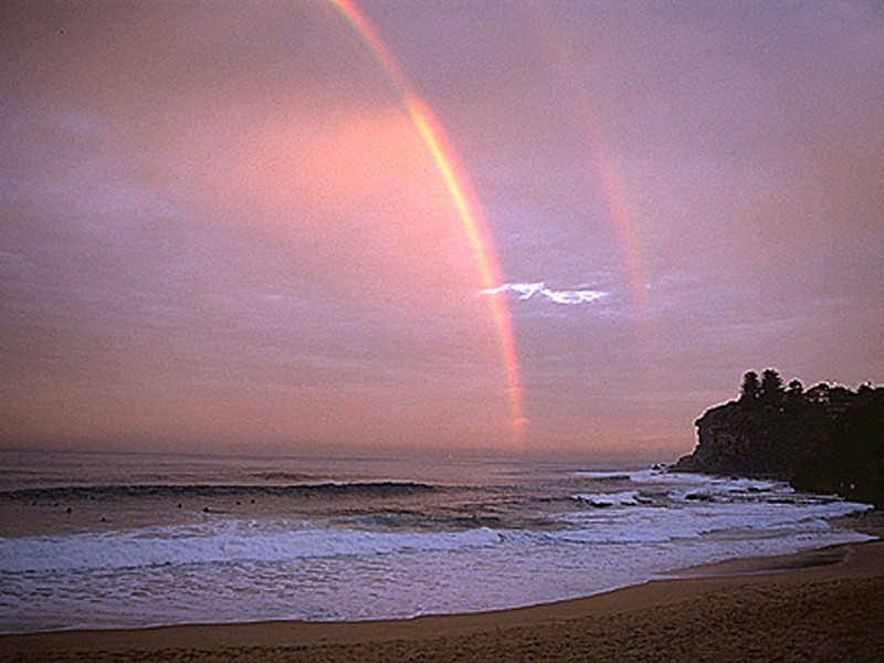 5 Careel Head Rd, Avalon NSW 2107