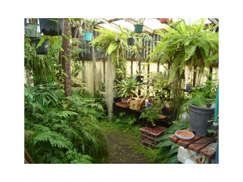 51 Hunter St, Burnett Heads QLD 4670