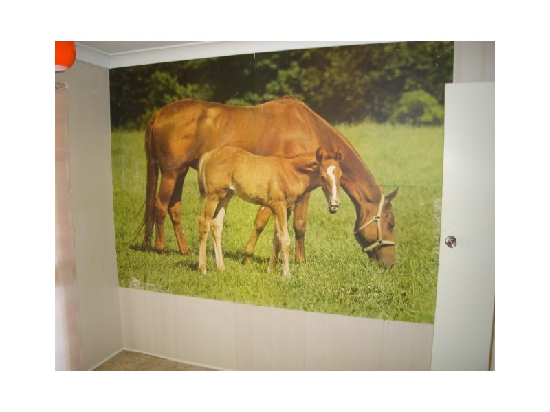 24 Harbour Esplanade, Burnett Heads QLD 4670