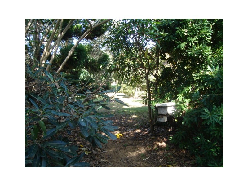 24 Harbour Esplanade, Burnett Heads QLD 4670