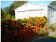 33 Shell Street, Burnett Heads QLD 4670