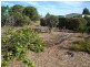 33 Shell Street, Burnett Heads QLD 4670