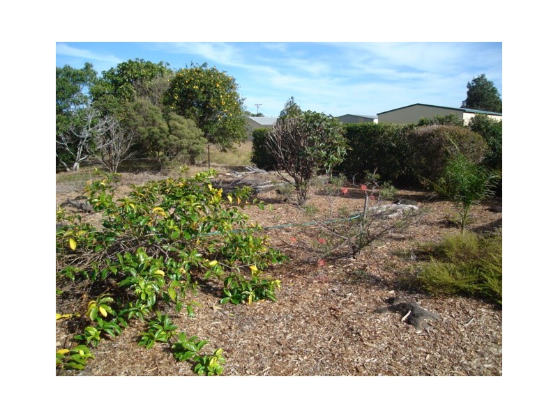 33 Shell Street, Burnett Heads QLD 4670