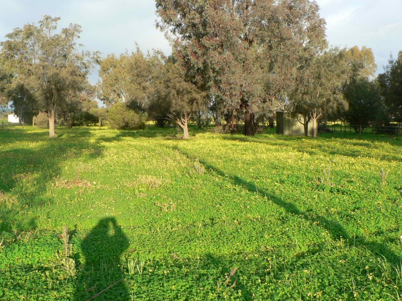 Lot 86 Julian Road, Macdonald Park SA 5121