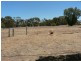 Lot 1 Devon Road, Macdonald Park SA 5121