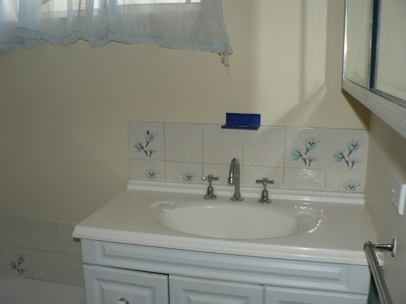 3 President Avenue, Andrews Farm SA 5114