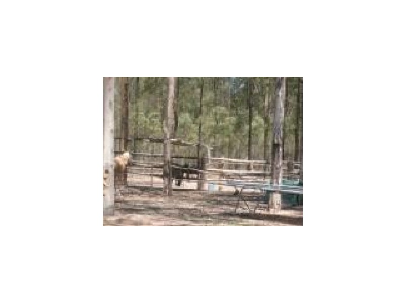 255 Carwong Road, Casino NSW 2470