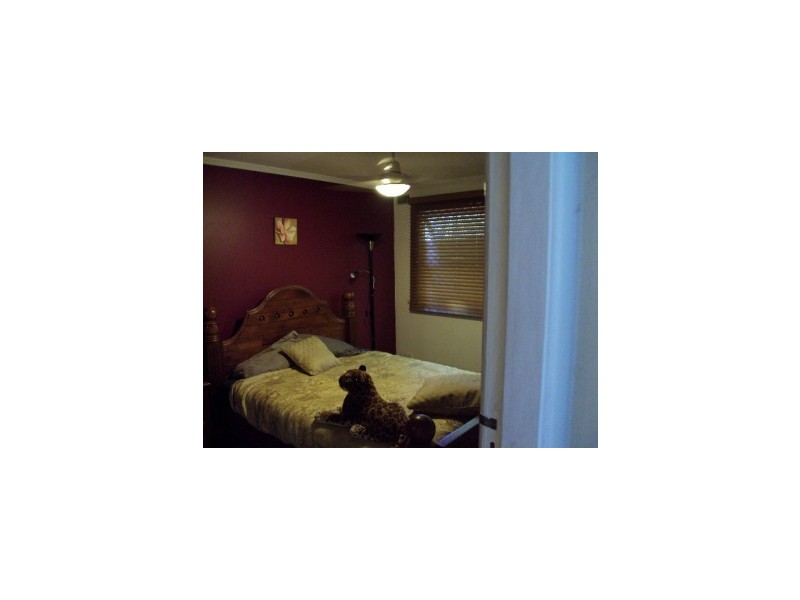 14 Park Avenue, Murwillumbah NSW 2484