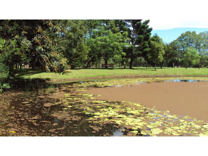 70 Adcocks Rd, Stokers Siding NSW 2484