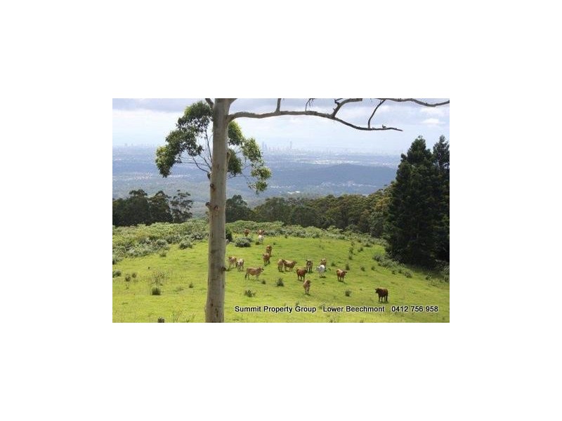 170 Freemans Rd, Lower Beechmont QLD 4211