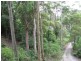 25 Akoonah Dr, Beechmont QLD 4211