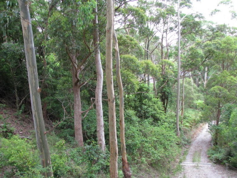 25 Akoonah Dr, Beechmont QLD 4211