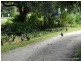 1805 Beechmont Road, Beechmont QLD 4211