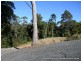 16 Hellfire Pass, Lower Beechmont QLD 4211