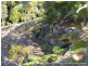 16 Hellfire Pass, Lower Beechmont QLD 4211