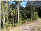 16 Hellfire Pass, Lower Beechmont QLD 4211